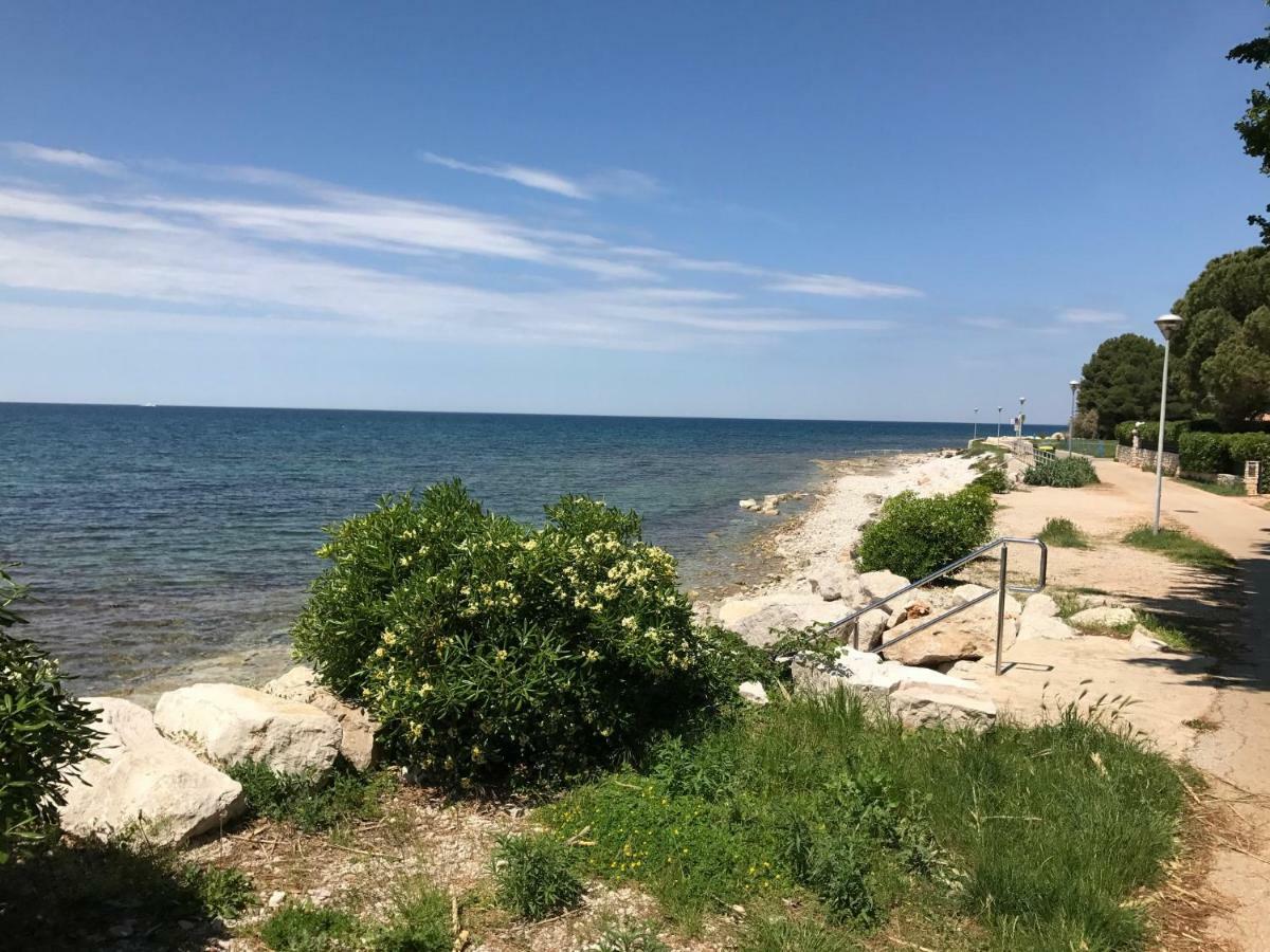 Todor Seaside Apartments Lovrecica  Bagian luar foto